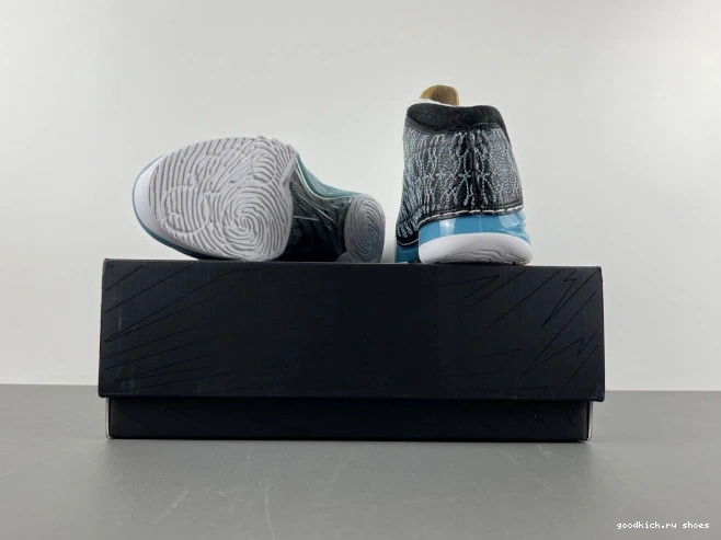 Jordan 23 318376-041 UNC 0806